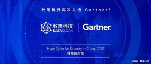 数篷科技入选Gartner报告零信任网络访问领域，引领网络安全技术咨询服务新篇章
