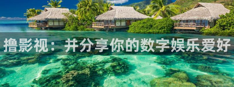 橘子的：撸影视：并分享你的数字娱乐爱好