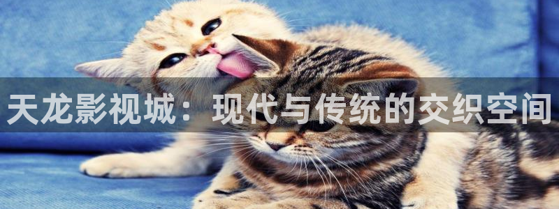 粉色丝瓜橘子视频：天龙影视城：现代与传统的交织空间