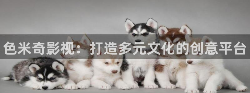 橘子和桔子：色米奇影视：打造多元文化的创意平台