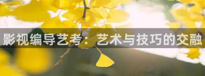 橘子视频成人：影视编导艺考：艺术与技巧的交融