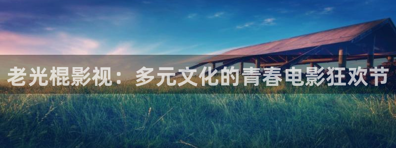 橘子影视电视版下载：老光棍影视：多元文化的青春电影狂欢节