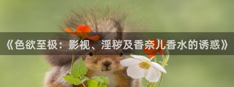 橘子视频app软件下载：《色欲至极：影视、淫秽及香奈儿香水的诱惑》