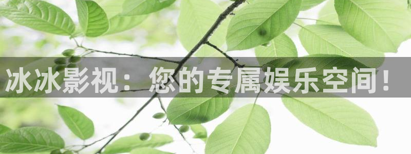 橘子视频去广告版：冰冰影视：您的专属娱乐空间！