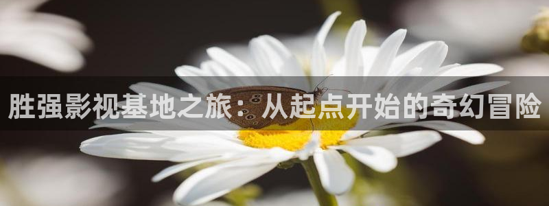 橘子直播app高清完整视频：胜强影视基地之旅：从起点开始的奇幻冒险